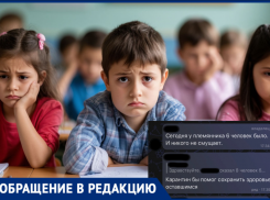 «Дети с температурой под 40»: волгоградцев возмутил отказ ввода карантина в лицее
