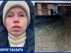 Садист залил в рот лошадям кислоту под Волгоградом 