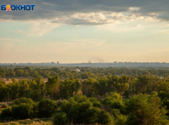 Десять лет тюрьмы грозит 17-летнему волгоградцу за поджог леса