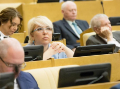 Депутат Госдумы Ирина Гусева потребовала от Минэнерго России учитывать  интересы промышленности Волгоградской области