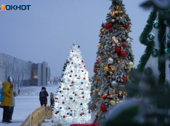 Волгоградский депутат призвал поддержать петицию об отказе от закупки новогодних украшений ради помощи СВО