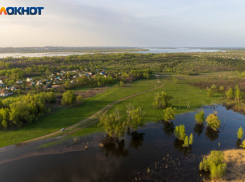 Наряды Росгвардии и полиции стянули в село под Волгоградом 