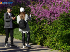 Четвертый уровень опасной солнечной активности ожидается в Волгограде