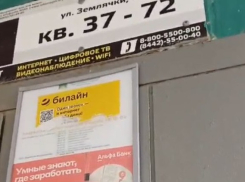 Волгоградские домофоны запели Шуфутинского - видео