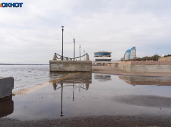 Волгоградская область готовится к пику арктического вторжения 