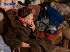 «Из соцзащиты принесли пакет хлеба не первой свежести»: кто и как помог греющейся дохлыми кошками волгоградке из дома без отопления