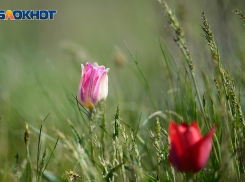 В Волгограде настал конец сезона дождей и гроз