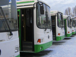 Три новых автобусных маршрута запущены в Волгограде