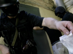 Два выходца из стран СНГ задержаны за попытку сбыта синтетических наркотиков в Волгограде