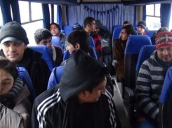 В Волгограде после рейда на оптовке депортируют троих мигрантов 