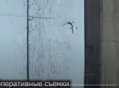 Опубликовано видео браконьерской ловли рыбы с Волжской ГЭС