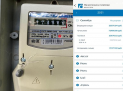 Многодетной семье в Волгограде выставили долг за свет больше 70 тысяч рублей: семья ищет правду 