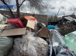 Сами виноваты! Контейнерные площадки Волгограда накрывает варварский сброс отходов.