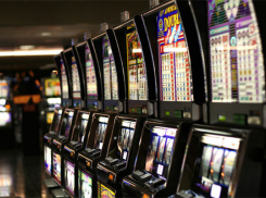 ИП, директор ООО и программист организовали игорный бизнес в Урюпинске