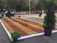 К приезду Дмитрия Медведева набережную Волгограда украсили клумбами из щепки и деревьями в кадках 