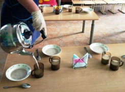 «Жажда наживы затмила рассудок»: волгоградцы требуют вернуть организацию питания школам и детским садам