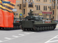 Спецоперация, одобрение Путина и митинги: о чем ВЦИОМ спрашивает у волгоградцев 