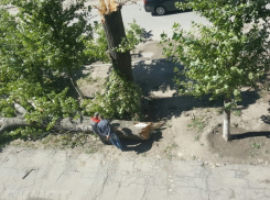 К выходным ветер в Волгограде постепенно утихнет 