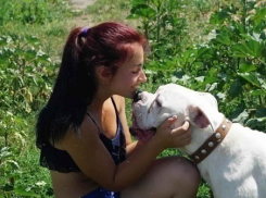 В Волгограде волонтеры не могут найти хозяина для молодого пса элитной породы