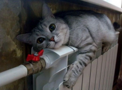 В Центральном районе Волгограда отключено отопление