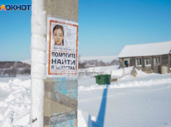 СК проигнорировал обращение видевших в Волгограде девочку, похожую на исчезнувшую в Чухонастовке 