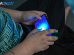 О провокациях от имени следственного комитета предупредили волгоградцев