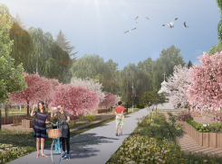 Комсомольский парк Волгограда отдадут под огород