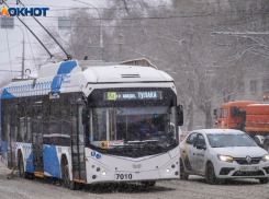 На улицы Волгограда выпустят более 50 новых троллейбусов с автономным ходом