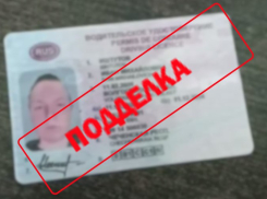 18-летний волгоградец попался с купленными в Чечне поддельными правами — видео 
