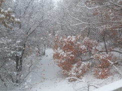 Синоптики вновь пообещали волгоградцам снег