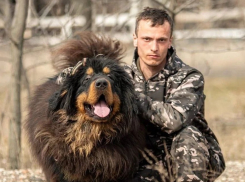 Трое суток мучился без воды: жуткий хозяин бросил тибетского мастифа в Волгограде