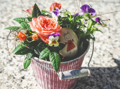 В день флориста в Волгограде будет облачно и жарко до +30º