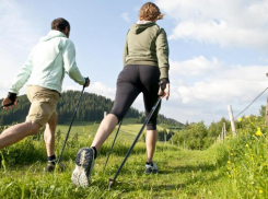 Волжские депутаты пойдут далеко и надолго