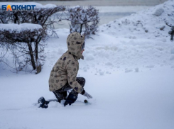 Первоклассников в Волгограде отправили на дистант 