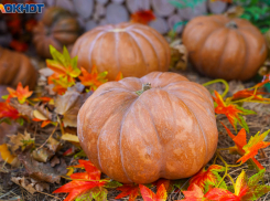 С холодных +9 начнется понедельник в Волгограде