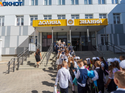 Дистант готовы ввести в школах Волгограда