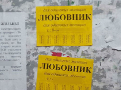 Житель Волгограда открыто предложил женщинам услуги любовника