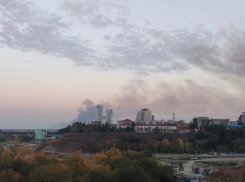 Вторые сутки полыхает пойма в Заволжье в Волгоградской области 