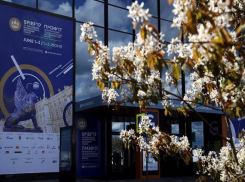 Компания «Яндекс» согласилась сотрудничать с Волгоградской областью