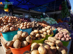 Цены на продукты в Волгограде продолжают резко расти: данные за неделю