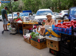 Новый виток подорожания яиц зафиксирован в Волгоградской области