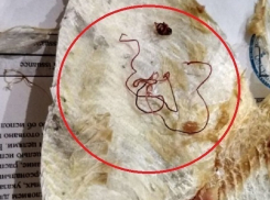 Волгоградец купил рыбу, напичканную тремя десятками паразитов