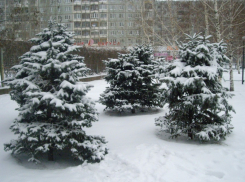 Долгожданное потепление в Волгограде продлится лишь один день 