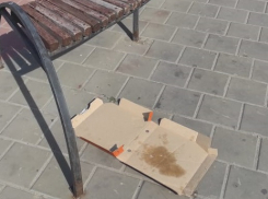  Коробкой из-под пиццы и кучей окурков встречает туристов вокзал Волгограда