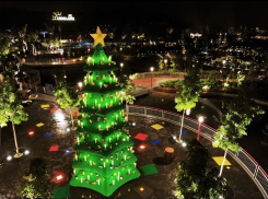 Самую креативную новогоднюю елку выберут в Волгограде