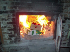 В Волгограде сожгли 12 килограммов чешских груш и польские салаты 