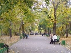 Волгоградские парки сделают уникальными