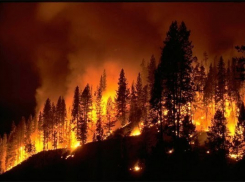 В Волгоградской области объявлено экстренное предупреждение