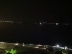 Хозяевами опустевших улиц Волгограда на видео стали лающие псы