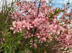 Грозы и дожди встретят волгоградцев в начале рабочей недели